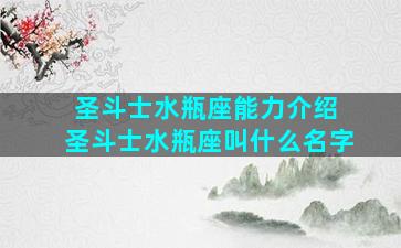 圣斗士水瓶座能力介绍 圣斗士水瓶座叫什么名字